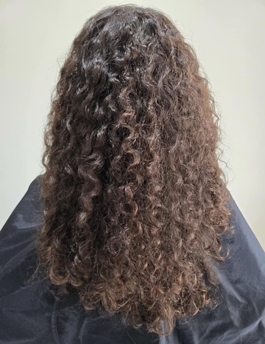 Dry, undefined curls lacking bounce.