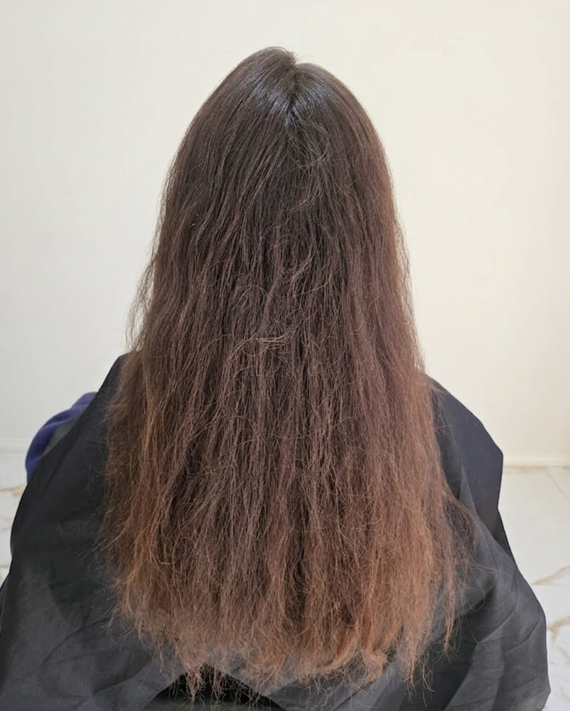 Coarse strands with silver tones needing softness.