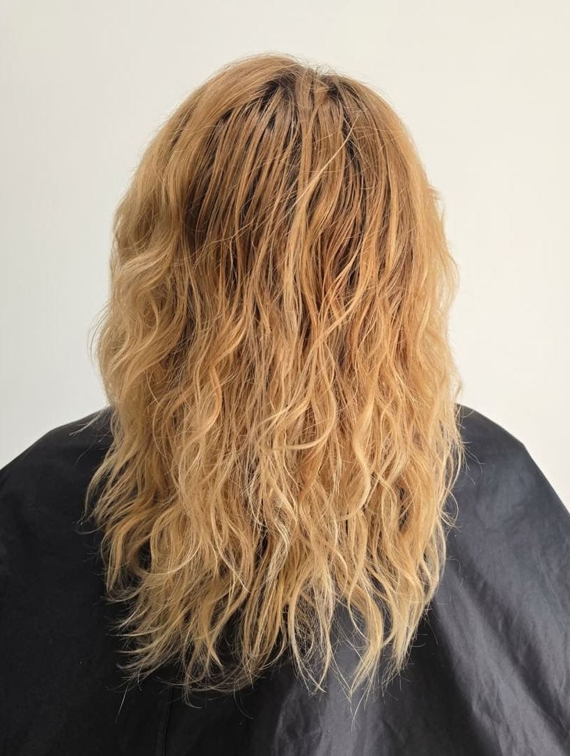 Overprocessed strands lacking moisture and shape.