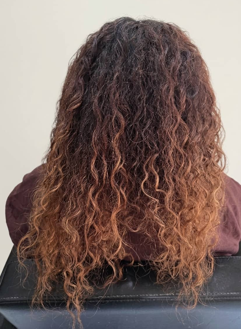 Overprocessed strands needing structure and hydration.